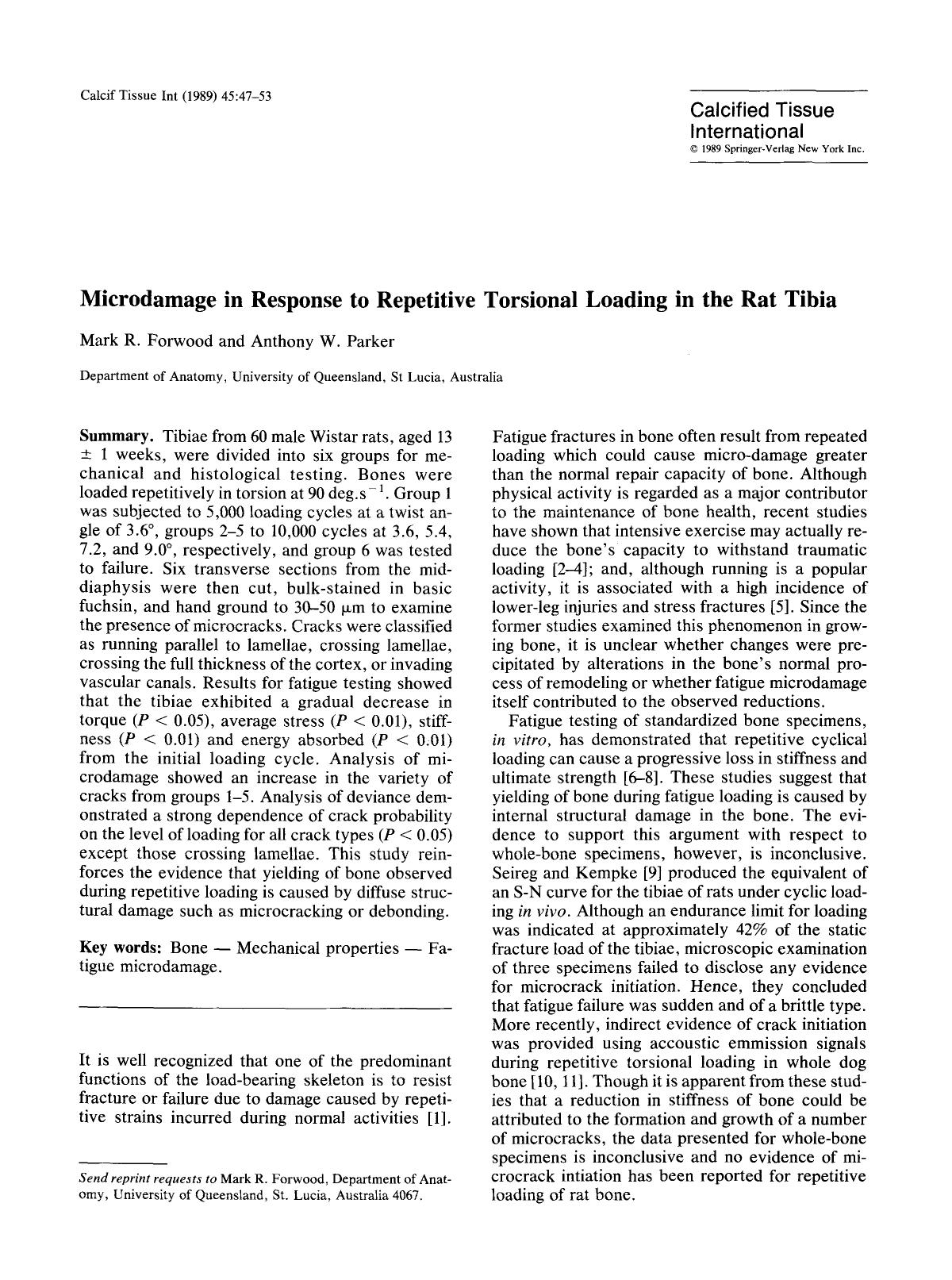 Microdamage in response to repetitive torsional loading in the rat tibia by Unknown