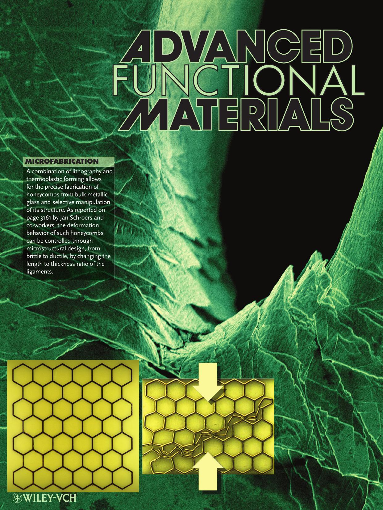 Microfabrication: Honeycomb Structures of Bulk Metallic Glasses (Adv. Funct. Mater. 152012) by otm
