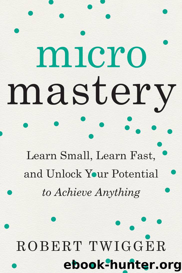 Micromastery by Robert Twigger