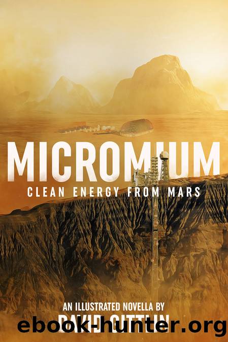 Micromium by David Gittlin