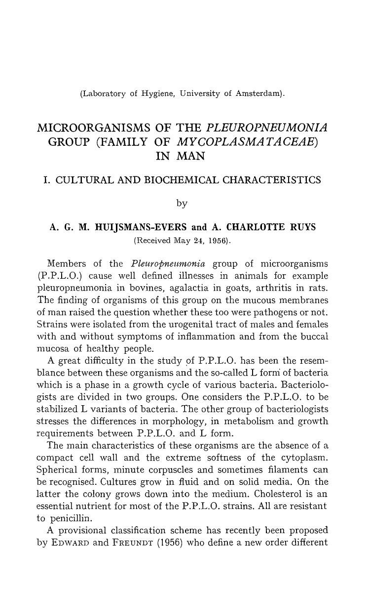 Microorganisms of the <Emphasis Type="Italic">Pleuropneumonia <Emphasis> group (family of <Emphasis Type="Italic">Mycoplasmataceae <Emphasis>) in man by Unknown