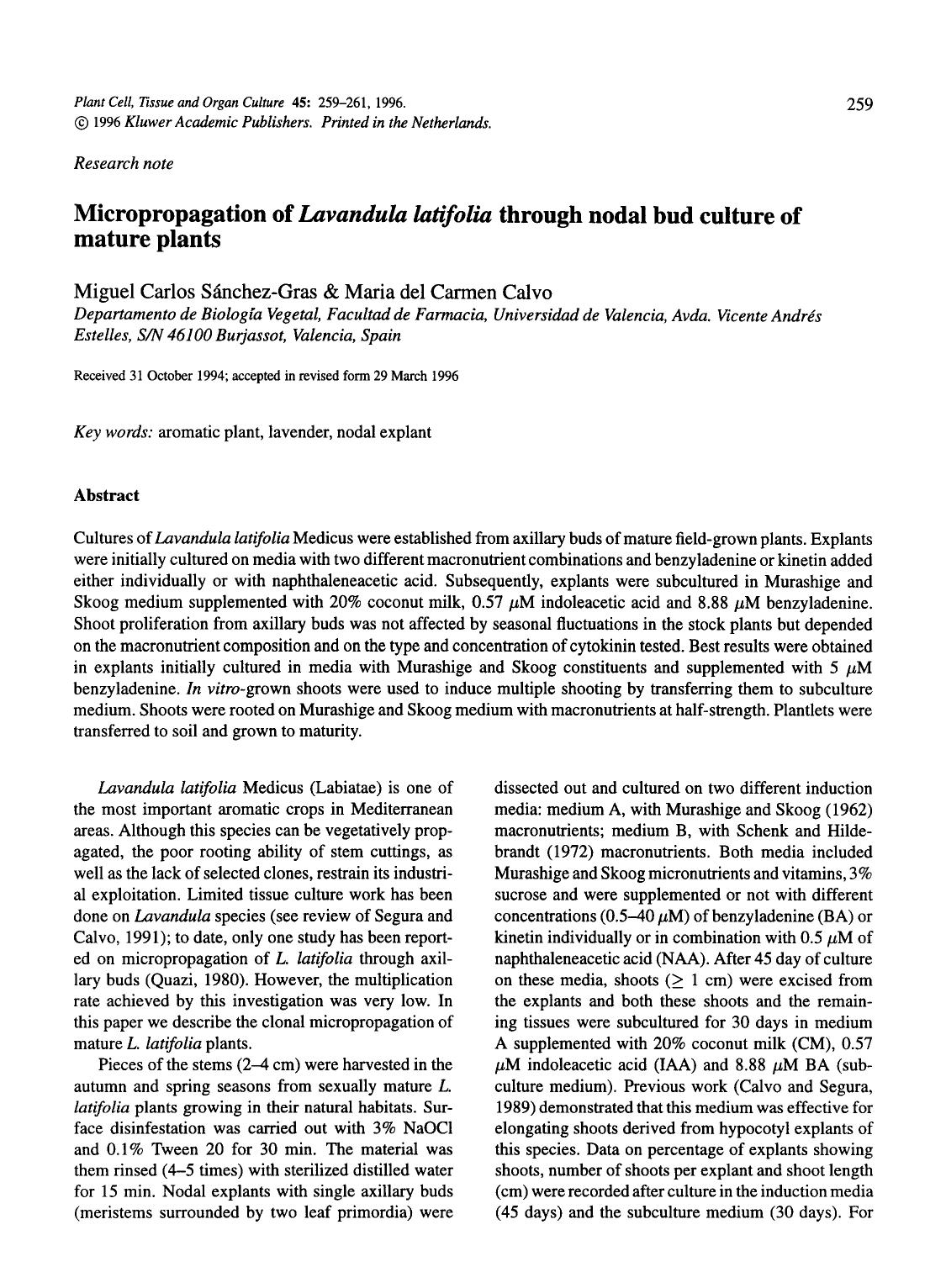 Micropropagation of <Emphasis Type="Italic">Lavandula latifolia <Emphasis> through nodal bud culture of mature plants by Unknown