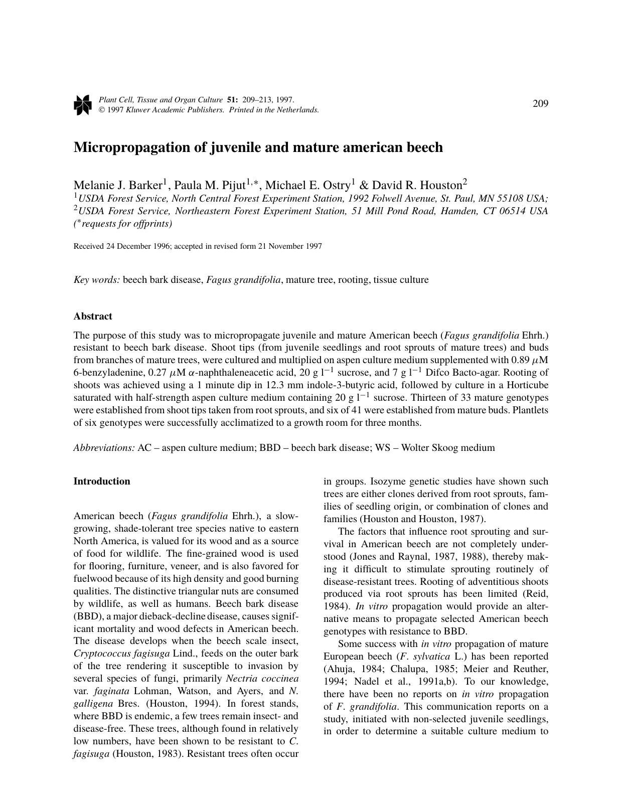 Micropropagation of juvenile and mature american beech by Unknown