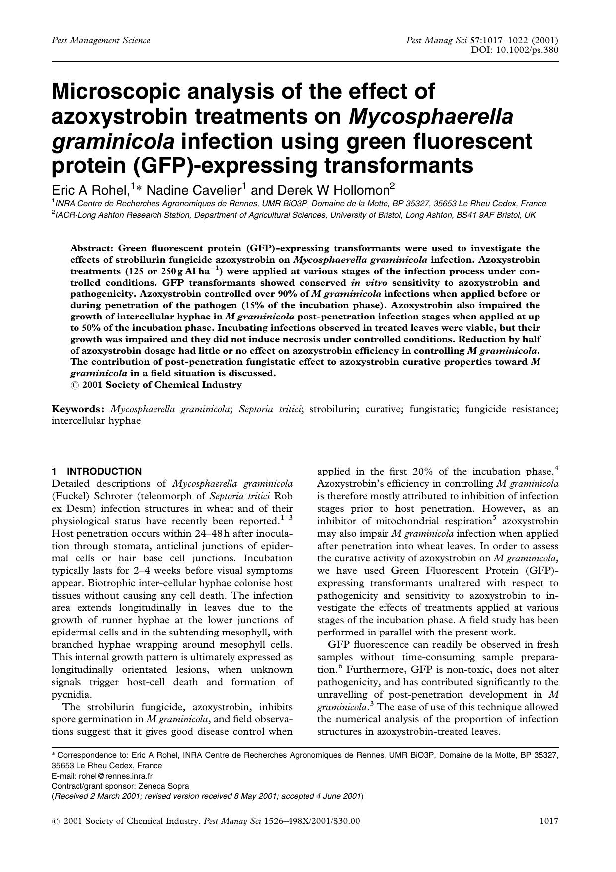 Microscopic analysis of the effect of azoxystrobin treatments on Mycosphaerella graminicola infection using green fluorescent protein (GFP)-expressing transformants by Unknown