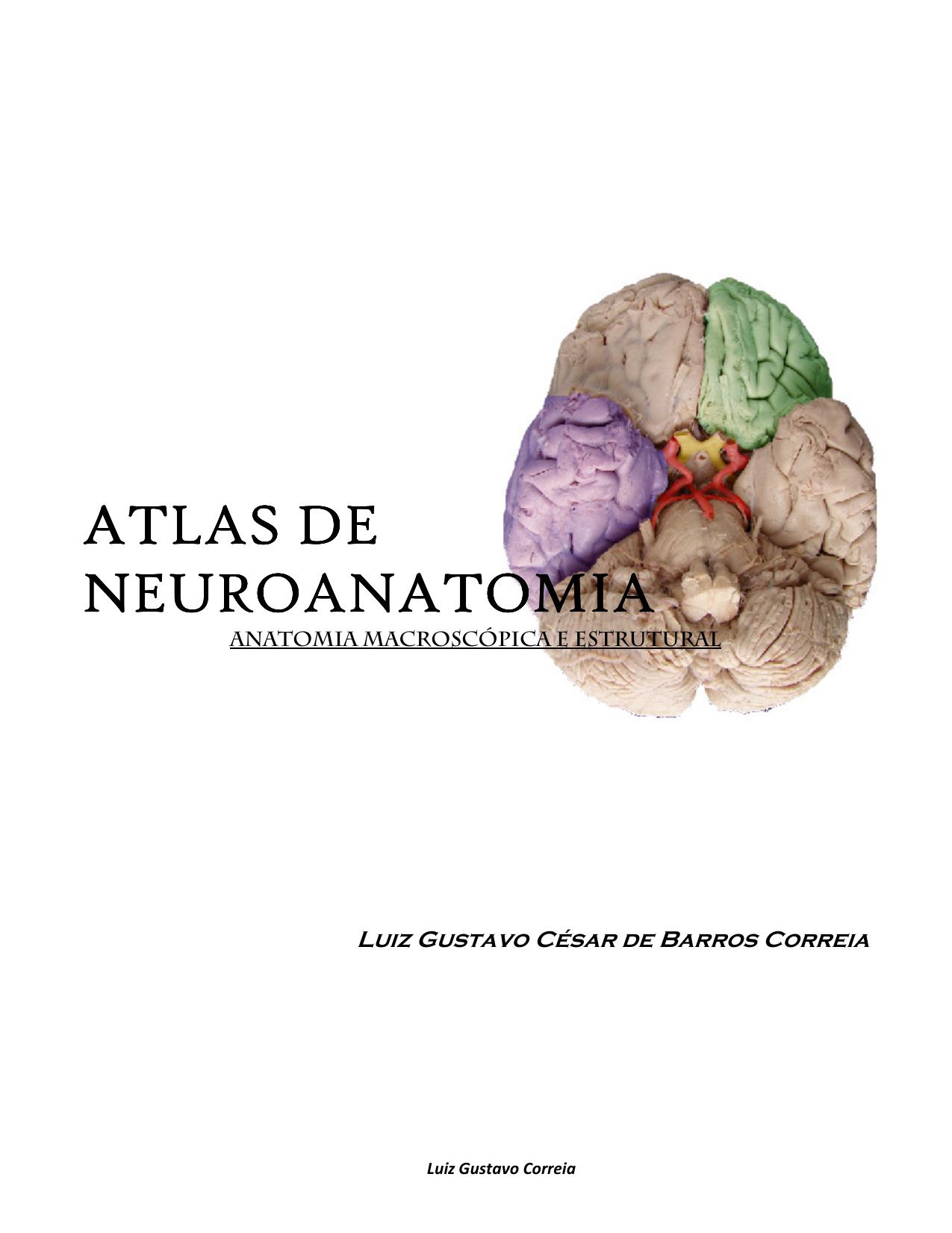 Microsoft Word - ATLAS DE NEUROANATOMIA by Gustavo