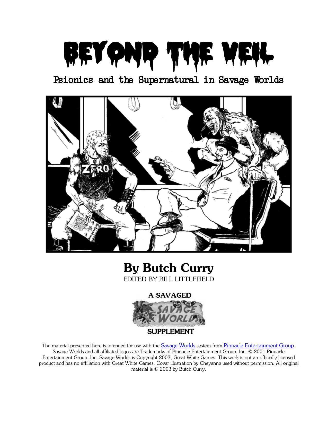 Microsoft Word - Beyond the Veil 91103.doc by Bill