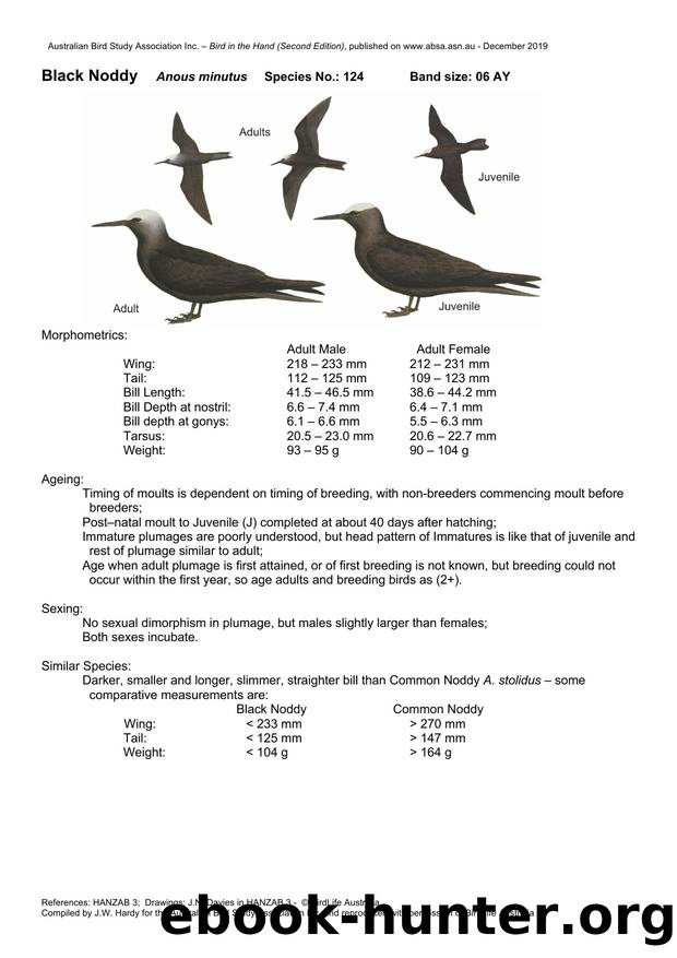Microsoft Word - Black Noddy - BH2.docx by Unknown