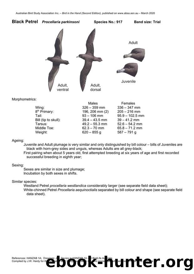 Microsoft Word - Black Petrel.docx by Unknown