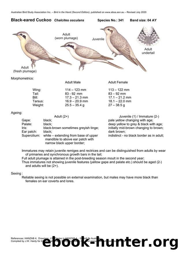 Microsoft Word - Black-eared Cuckoo - BH2.docx by Unknown