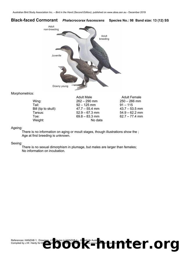 Microsoft Word - Black-faced Cormorant - BH2.docx by Unknown