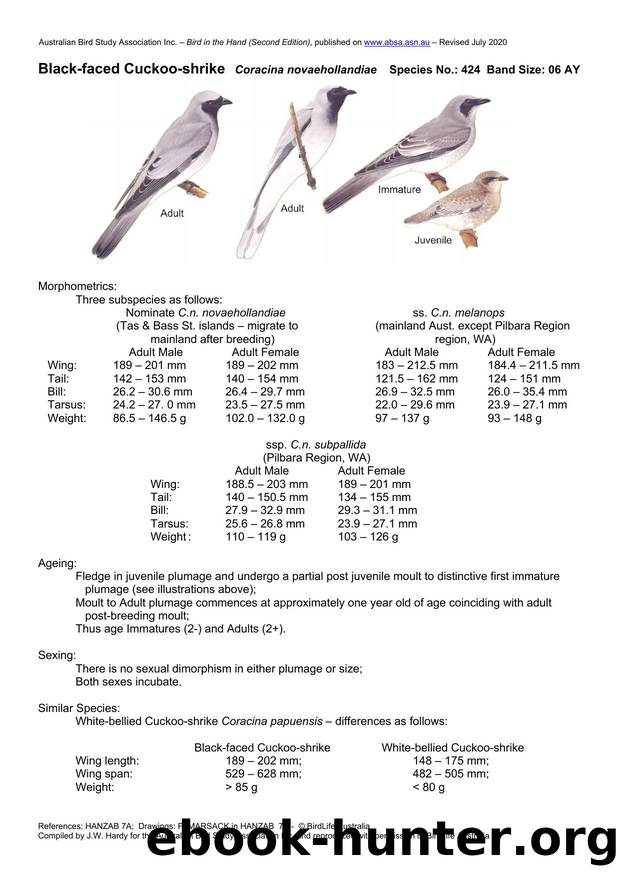 Microsoft Word - Black-faced Cuckoo-shrike - BH2.docx by Unknown
