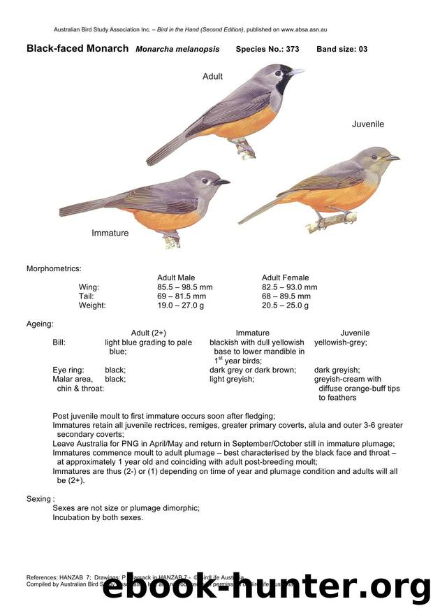 Microsoft Word - Black-faced Monarch - BH2.docx by Unknown
