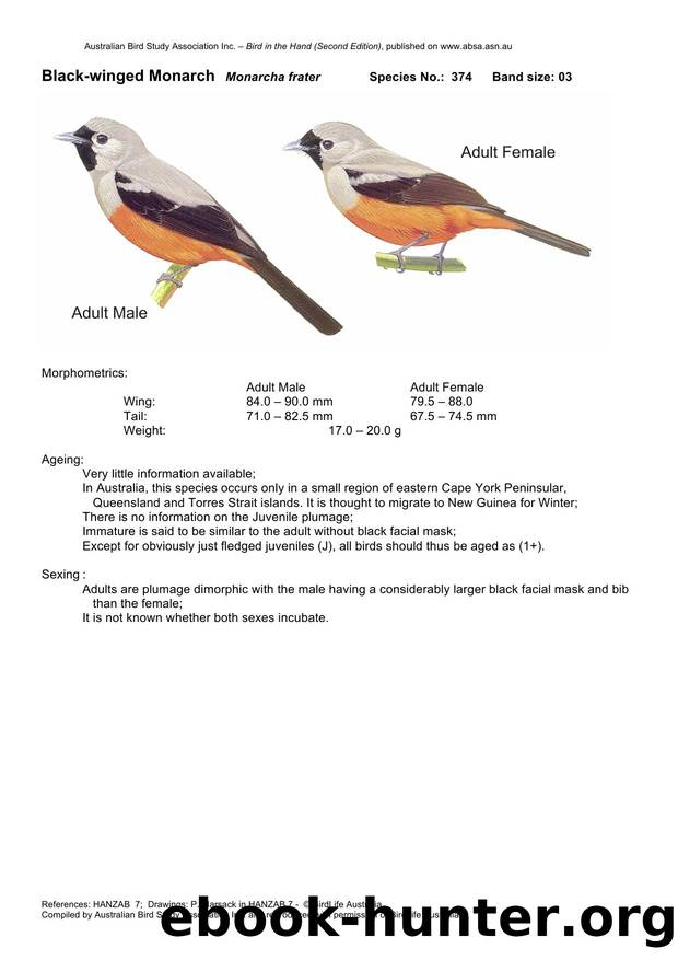 Microsoft Word - Black-winged Monarch - BH2.docx by Unknown