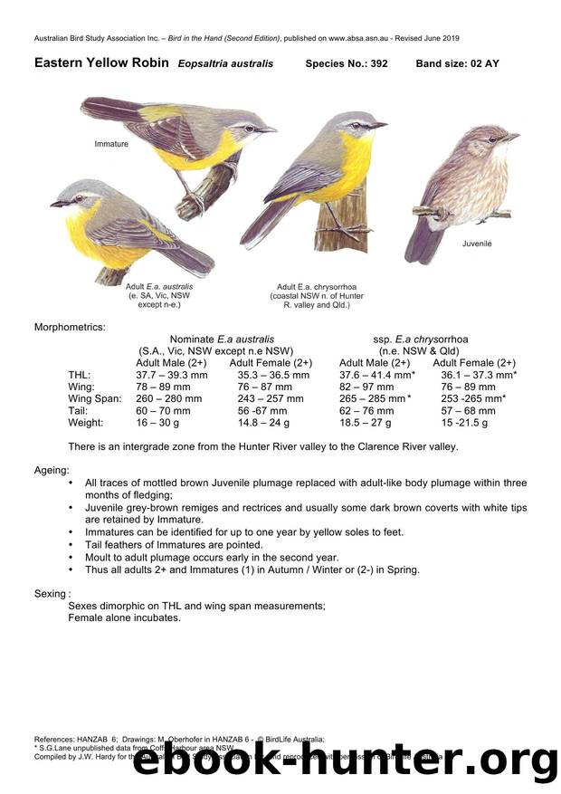 Microsoft Word - Eastern Yellow Robin - BH2.docx by Unknown