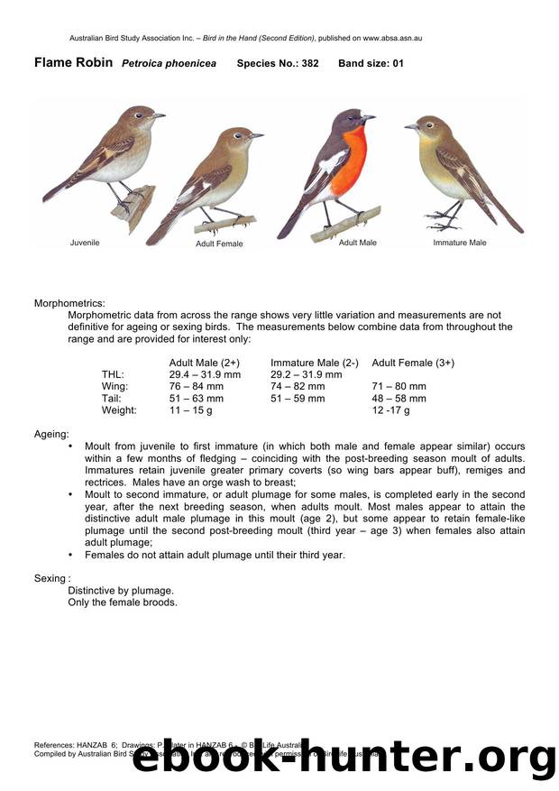 Microsoft Word - Flame Robin - BH2.docx by Unknown