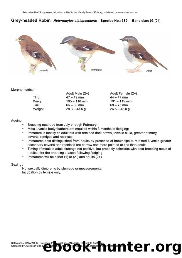 Microsoft Word - Grey-headed Robin - BH2.docx by Unknown