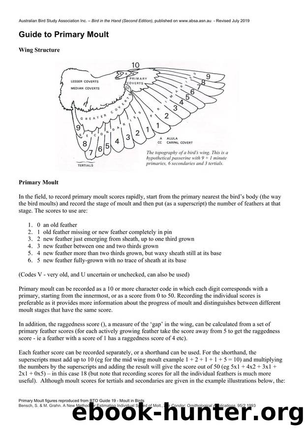 Microsoft Word - Guide to Primary Moult.docx by Unknown
