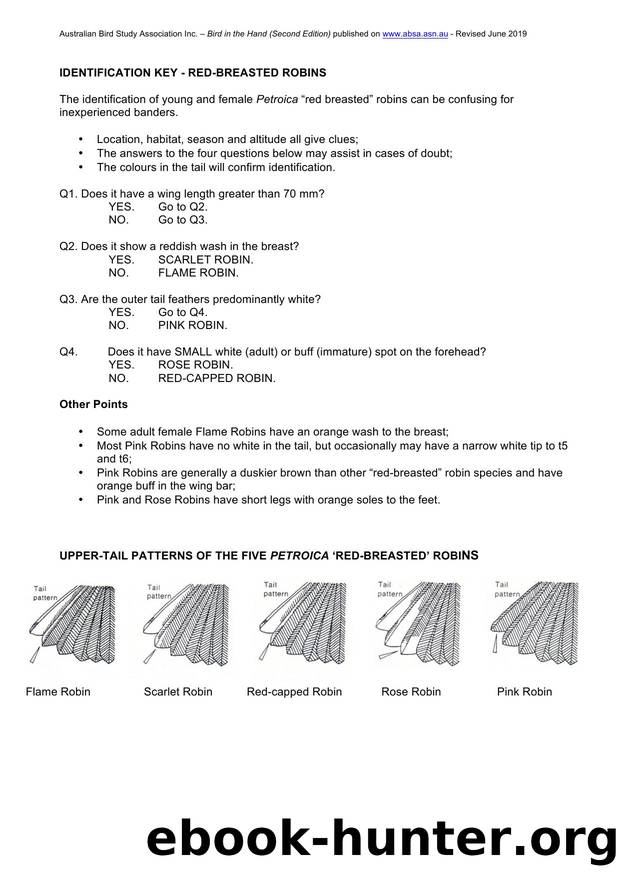 Microsoft Word - ID Key Red-breasted Robins.docx by Unknown