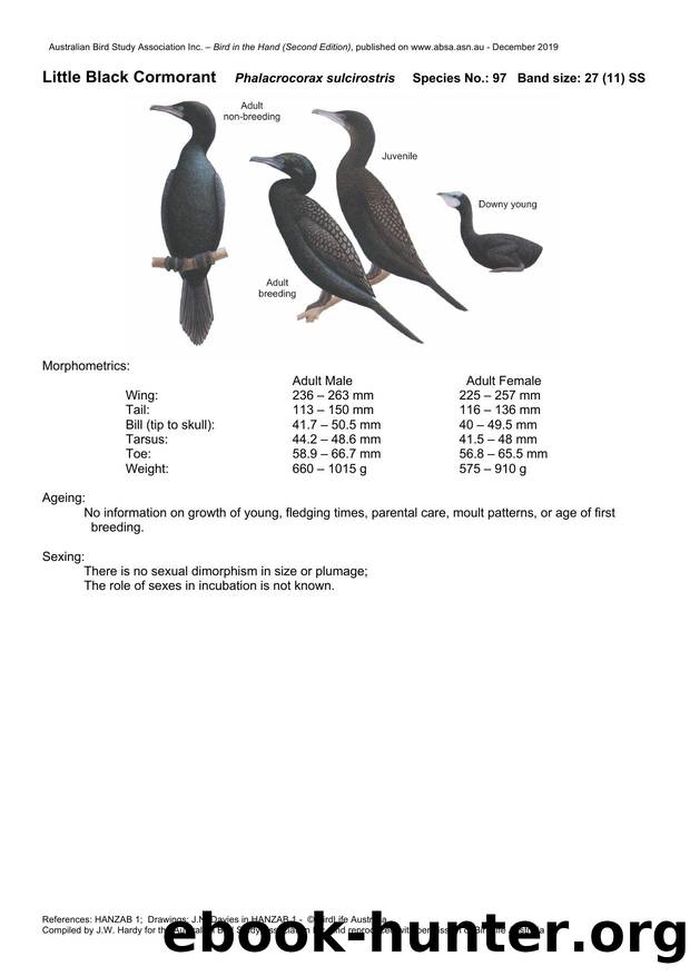 Microsoft Word - Little Black Cormorant - BH2.docx by Unknown