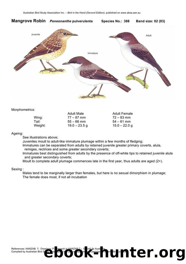 Microsoft Word - Mangrove Robin - BH2.docx by Unknown