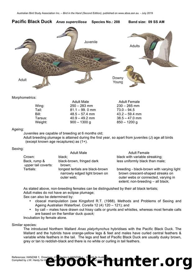 Microsoft Word - Pacific Black Duck - BH2.docx by Unknown