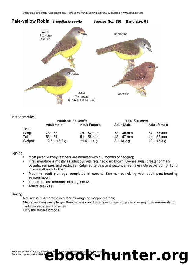 Microsoft Word - Pale-yellow Robin - BH2.docx by Unknown
