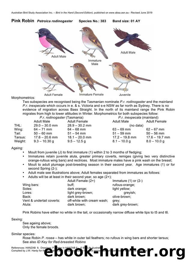 Microsoft Word - Pink Robin - BH2.docx by Unknown