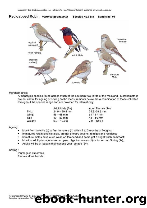 Microsoft Word - Red-capped Robin - BH2.docx by Unknown