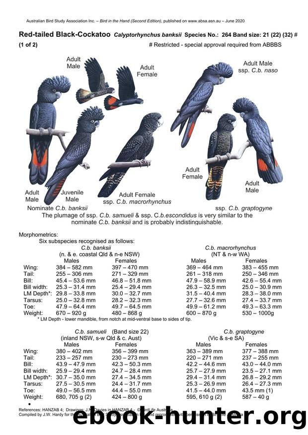 Microsoft Word - Red-tailed Black-Cockatoo.docx by Unknown