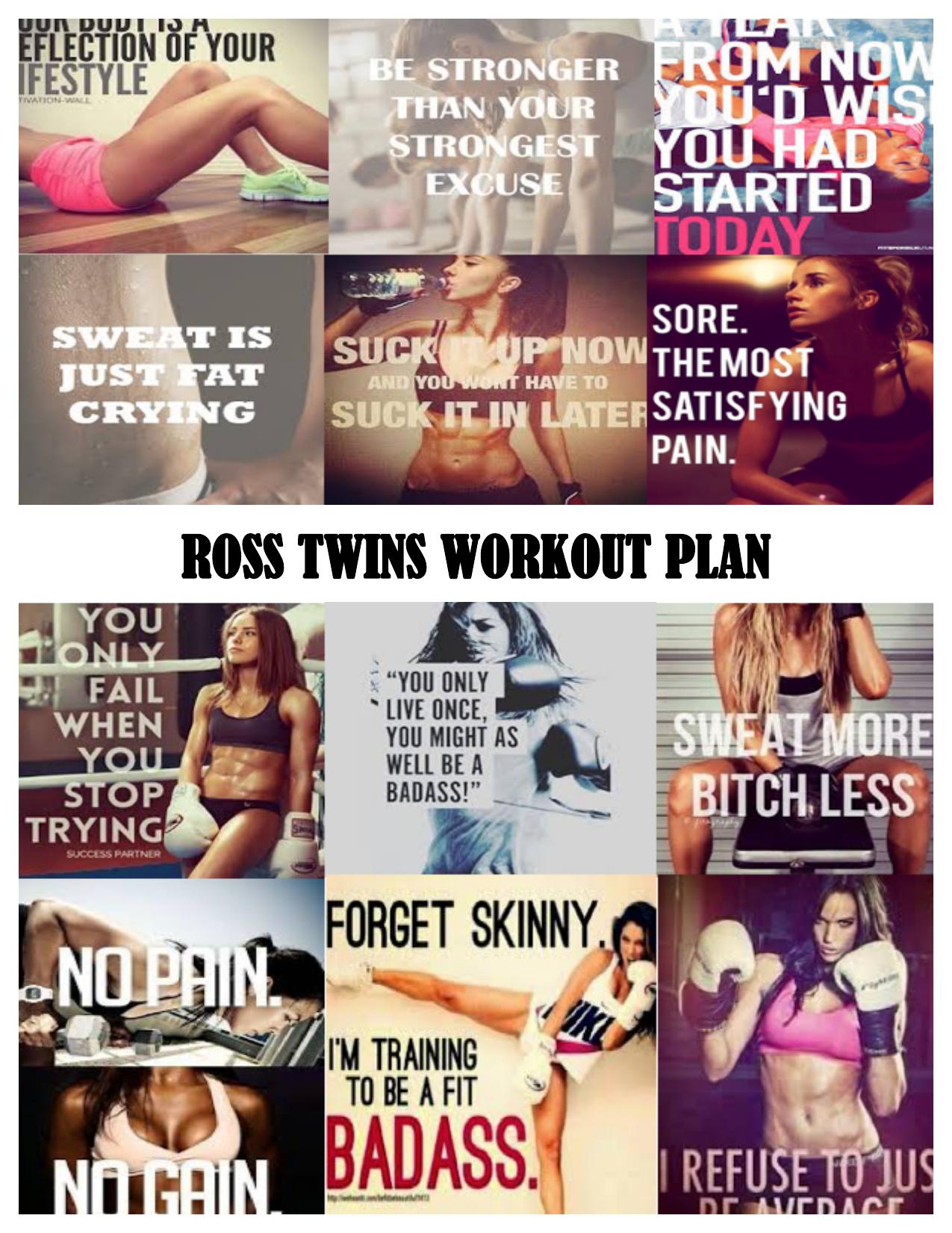 Microsoft Word - Ross Twins work out and diet plan.docx by Unknown