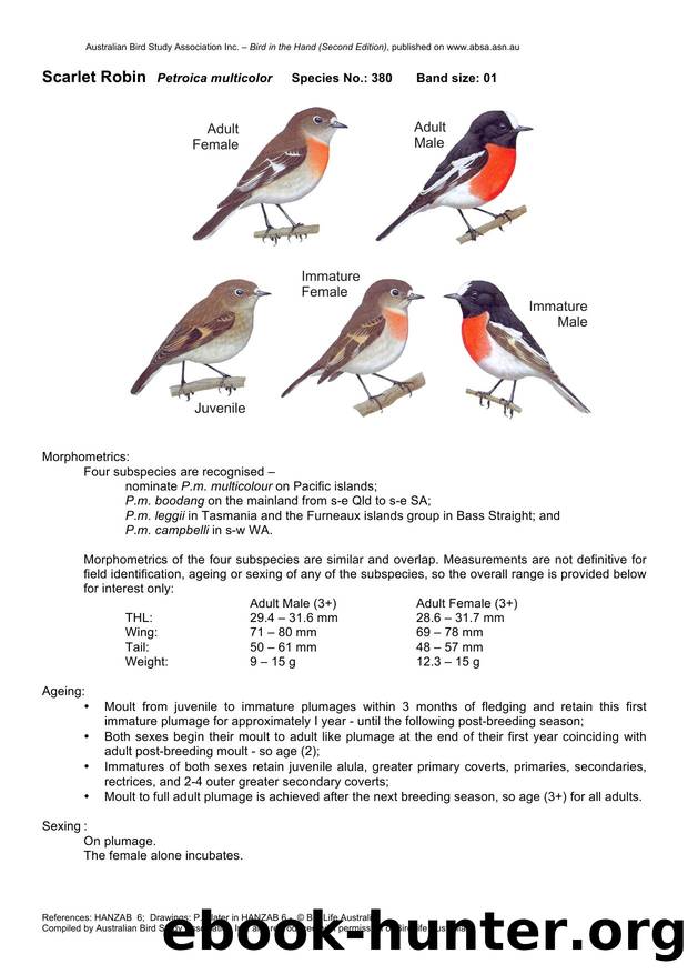 Microsoft Word - Scarlet Robin- BH2.docx by Unknown