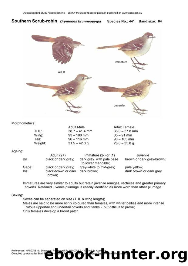 Microsoft Word - Southern Scrub-robin - BH2.docx by Unknown