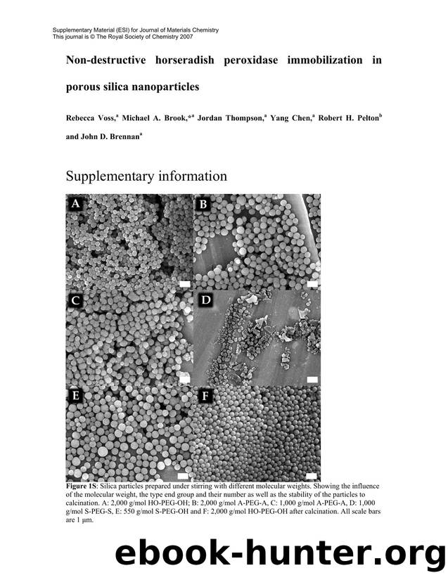 Microsoft Word - Supplementary information.doc by Mike Brook