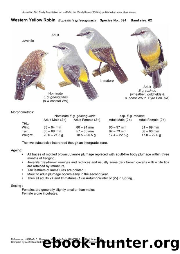 Microsoft Word - Western Yellow Robin - BH2.docx by Unknown