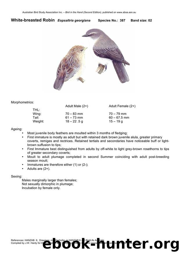 Microsoft Word - White-breasted Robin - BH2.docx by Unknown