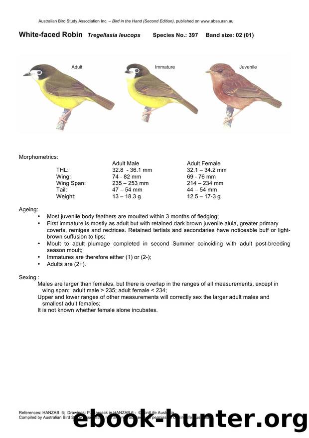 Microsoft Word - White-faced Robin - BH2.docx by Unknown