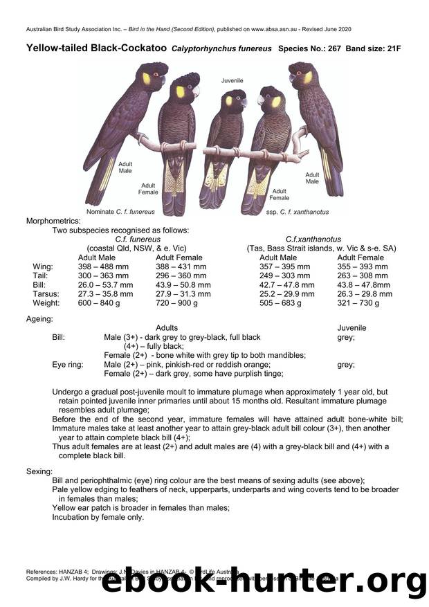 Microsoft Word - Yellow-tailed Black-Cockatoo.docx by Unknown