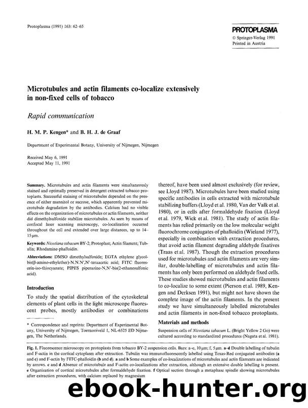 Microtubules and actin filaments co-localize extensively in non-fixed cells of tobacco by Unknown
