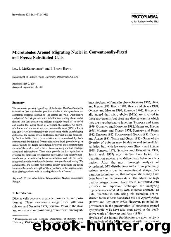 Microtubules around migrating nuclei in conventionally-fixed and freeze-substituted cells by Unknown