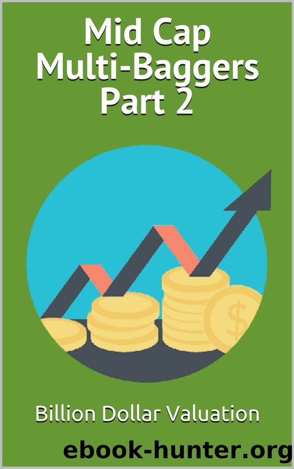 Mid Cap Multi-Baggers Part 2 by Billion Dollar Valuation