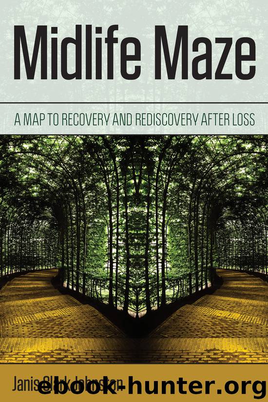 Midlife Maze by Janis Clark Johnston