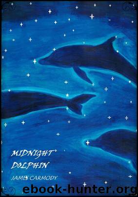 Midnight Dolphin by James Carmody