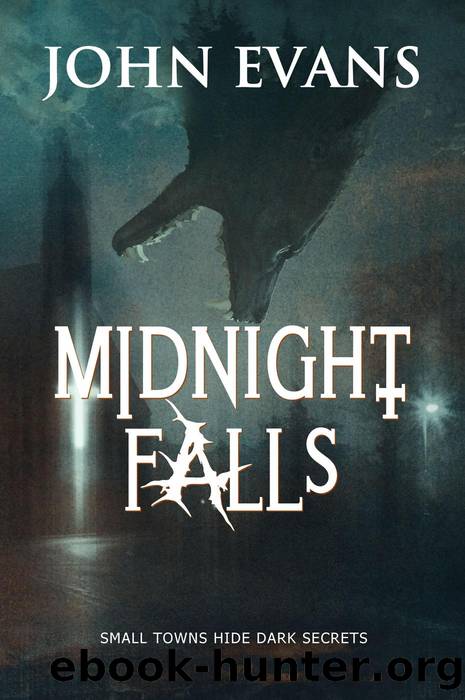 Midnight Falls by John Evans