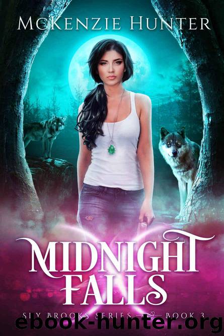 Midnight Falls by McKenzie Hunter