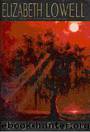 Midnight In Ruby Bayou - Donovans 04 by Elizabeth Lowell