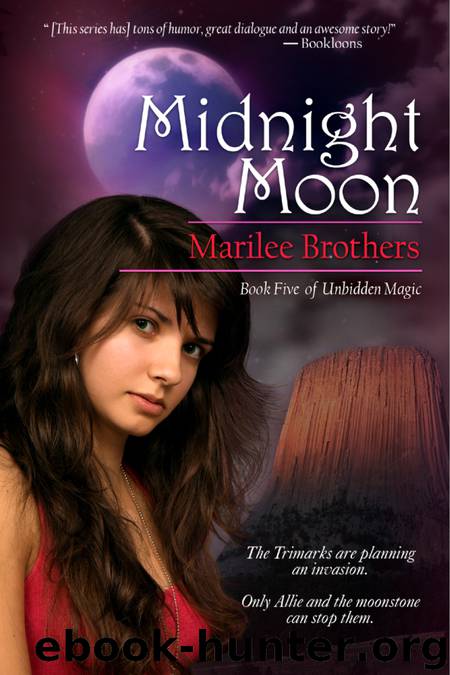Midnight Moon by Marilee Brothers