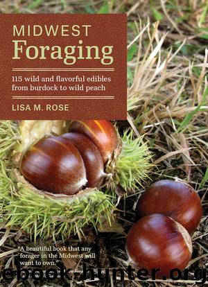 Midwest Foraging: 115 Wild and Flavorful Edibles from Burdock to Wild Peach (Regional Foraging Series) by Lisa M. Rose