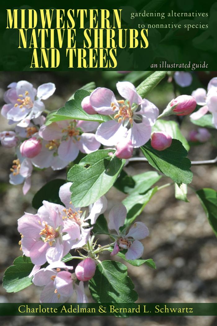Midwestern Native Shrubs and Trees : Gardening Alternatives to Nonnative Species: An Illustrated Guide by Unknow
