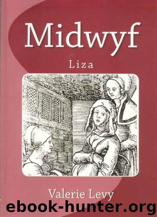 Midwife : Liza by Valerie Levy