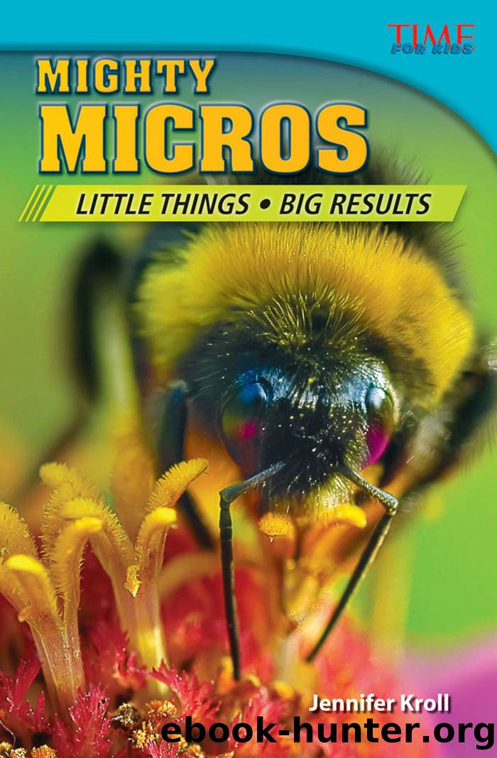 Mighty Micros: Little Things Big Results by Jennifer Kroll